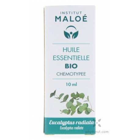 Huile Essentielle d'Eucalyptus radié - Bio