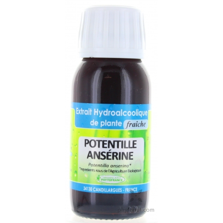 Potentille ansérine bio - EPF 60 ml