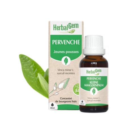 Pervenche bourgeon 30ml